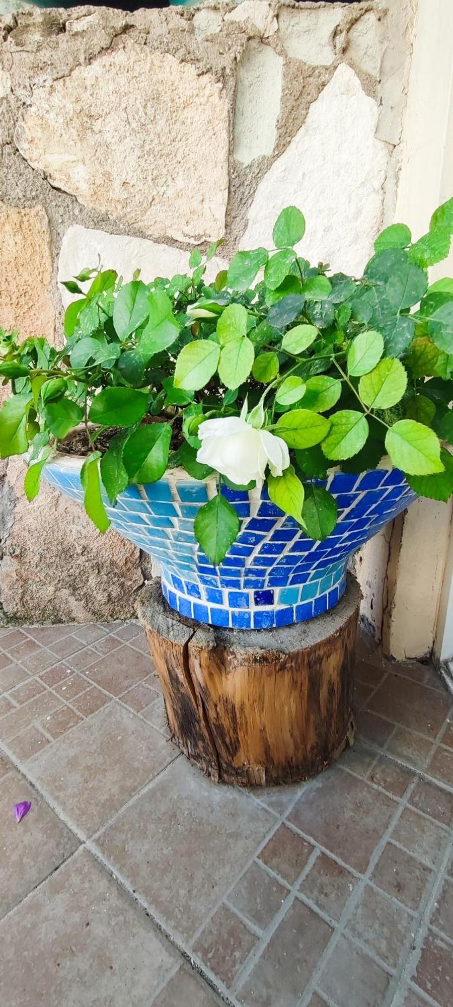 Bonapart Hotel Çeşme Esterno foto